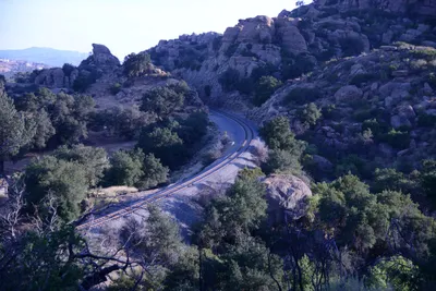 DSC_2104 (Large).JPG